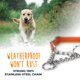 thumbnail image 3 of Collar para perro Mighty Paw Martingale grande naranja, 3 of 9