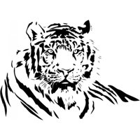 Rienda Libre Graphics - Decomural Tiger Portrait Jungle Animals Ws-15890
