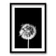 thumbnail image 1 of Cuadro Flor De Leon N 70x50cms, 1 of 1