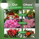 thumbnail image 3 of Briignite Grow Light Bulbs, 5000K Full Spectrum Grow Light, 3 of 3