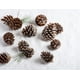 thumbnail image 5 of Piñas navideñas naturales a granel para decoración del hogar, adornos de otoño para árbol de Navidad, paquete de 30, 5 of 6