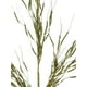 thumbnail image 2 of Rama Sauce Electrico Dorado Claro 72cm, 2 of 3