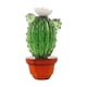 thumbnail image 2 of Figura De Cactus, Adorno De Escritorio, Estatua De Cactus Para Patio, Hogar, Oficina, Exterior, Estilo B, 2 of 3
