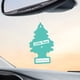 thumbnail image 5 of Ambientador LITTLE TREES Bayside Breeze para coche o casa x24, 5 of 8