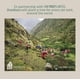 thumbnail image 3 of Juego de vajilla Bloomhouse Santorini Mist Terracotta 16 piezas, 3 of 6