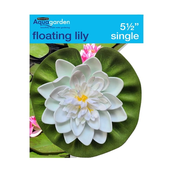 Lily Pennington Aquagarden flotante, 14 cm de diámetro, plástico
