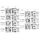 thumbnail image 2 of Plumilla G Pen un. Nikko, 2 of 2