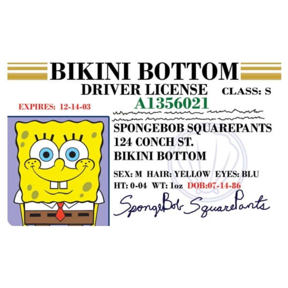 Novelty Card Signs 4 divertidas parodias carné de conducir de Bob Esponja