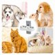 thumbnail image 4 of Comedero Doble De Pared Para Gatos Perros Altura Ajustable, 4 of 4