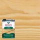 thumbnail image 1 of Sellador para Madera Thompson's WaterSeal Transparente 1 Galón, 1 of 3