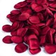 thumbnail image 1 of Pétalos de rosa de seda HongyiTime, rojo burdeos, 400 unidades, 1 of 7