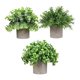 thumbnail image 5 of 3 Piezas De Peque?as Plantas Falsas En Maceta Para Estante, Sala De Estar, Ba?o, Estilo I, 5 of 5