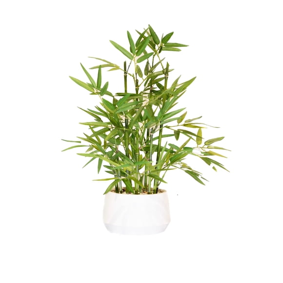 Planta de bambú artificial de 45 cm de altura en maceta blanca 365 Blooming