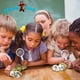 thumbnail image 5 of Kit Científico Break Your Own Geodes 25 Unidades, 5 of 9