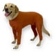 thumbnail image 1 of Body De Cobre Completo Post Quirúrgico Talla 6 (10 A 13 Kg), 1 of 6