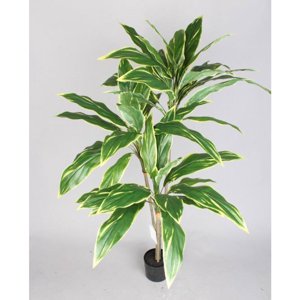 Corel - Planta Decorativa Árbol Dracena 120 Cm