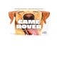 thumbnail image 1 of Game Spin Master Games SolidRoots Game Rover con perro a partir de 8 años, 1 of 6