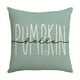 thumbnail image 1 of 1PC Hello Pumpkin Give Thanks Throw Pillow Cover 17.7x17.7in, Fall Autumn Thanksgiving Eucalyptus Leaves Harvest Decoration For Home, 1 of 4