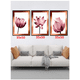 thumbnail image 2 of Cuadros Decorativos Flores Abstractas Pack X 3 Uds 35x50 Cm C/u, 2 of 2