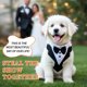thumbnail image 2 of Traje de esmoquin para perros de Unique Bargains para boda, traje de esmoquin para mascotas con pajarita, disfraces para perros pequeños, atuendo formal para fiestas de Halloween, 2 of 7