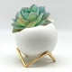 thumbnail image 2 of Maceta blanca nórdica con pedestal, 2 of 3