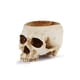thumbnail image 2 of Macetero Calavera para Suculentas 16 x 10 x 11 cm Halloween - Frank & Mortis, 2 of 3