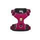 thumbnail image 1 of Arnés Ruffwear Front Range perro Hibiscus Pink S 56-69 cm, 1 of 2