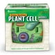 thumbnail image 3 of Plant Cell Model Learning Resources Transversal Section Foam 7+, 3 of 3