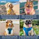thumbnail image 5 of Arnés para perro DJANGO Adventure talla pequeña color azul Pacífico, 5 of 9