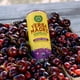 thumbnail image 4 of Bebida Guayaki Yerba Madre Cherry Berry 355 ml, paquete de 12, 4 of 7