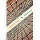 thumbnail image 1 of Libro A Short Stay in Hell - Extrañas ediciones de violín utilizadas, 1 of 1
