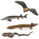 thumbnail image 4 of Set de Figuras Safari Ltd. Great Lakes TOOB Educativo 3+, 4 of 6