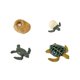 thumbnail image 2 of Figuras educativas de juguete Safari Ltd. Ciclo de vida de una tortuga marina verde, 2 of 3