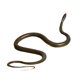 thumbnail image 1 of Figura De Serpiente De Juguete Figura De Serpiente Para Regalo De Halloween Decoración De Mesa Del Día De Los Inocentes Gris, 1 of 5