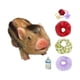 thumbnail image 3 of Juguete De Cerdo Renacido En Miniatura Divertido Para La Decoración Del Hogar Accesorios Para Fotos Regalo De Cumpleaños Estilo C, 3 of 3