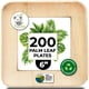 thumbnail image 1 of Plato desechable KoalaLove Palm Leaf de 15 cm, paquete de 200, 1 of 8