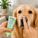 thumbnail image 5 of Revipel Crema Hidratante para Nariz y Almohadillas de Mascotas, 5 of 5