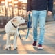 thumbnail image 5 of Funda Para Excrementos De Perro Con 2 Bolsillos Impermeables, 5 of 7