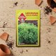 thumbnail image 2 of Lechuga Lollo Rubia Semillas para Huerto | Las Encinas, 2 of 2