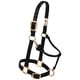 thumbnail image 2 of Cabezada para Caballo Weaver Equine Pequeña en Nylon Color Frambuesa, 2 of 8