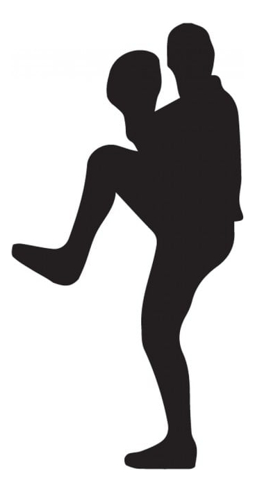 Rienda Libre Graphics - Decomural Baseball Pitcher American Sports Pack Ws-33143