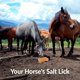 thumbnail image 3 of Bloques de sal rosada del Himalaya para caballos, pack de 2, 2.7 kg, 3 of 8