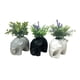 thumbnail image 2 of Macetero Elefante Con Planta 20 cm (Color surtido), 2 of 3