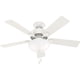 thumbnail image 1 of Ventilador de techo Hunter Swanson con cadena de luz LED de 112 cm, 1 of 1