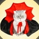 thumbnail image 5 of Cat Halloween Pet Disfraces Arnés Ajustable Ropa Capa Para Cosplay, 5 of 7