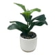 thumbnail image 2 of Planta Artificial 2 31cm, 1 unidad, 2 of 4