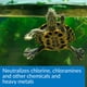 thumbnail image 4 of Acondicionador de agua API TURTLE WATER CONDITIONER botella de 240 ml, 4 of 6