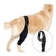 thumbnail image 1 of Salud de las articulaciones de los perros. Rodillera para perros. Rodillera para perros. Rodillera para perros. Cuidado de heridas por dislocación de rótula. Heridas de rodilla. Prevención de lamidos., 1 of 5
