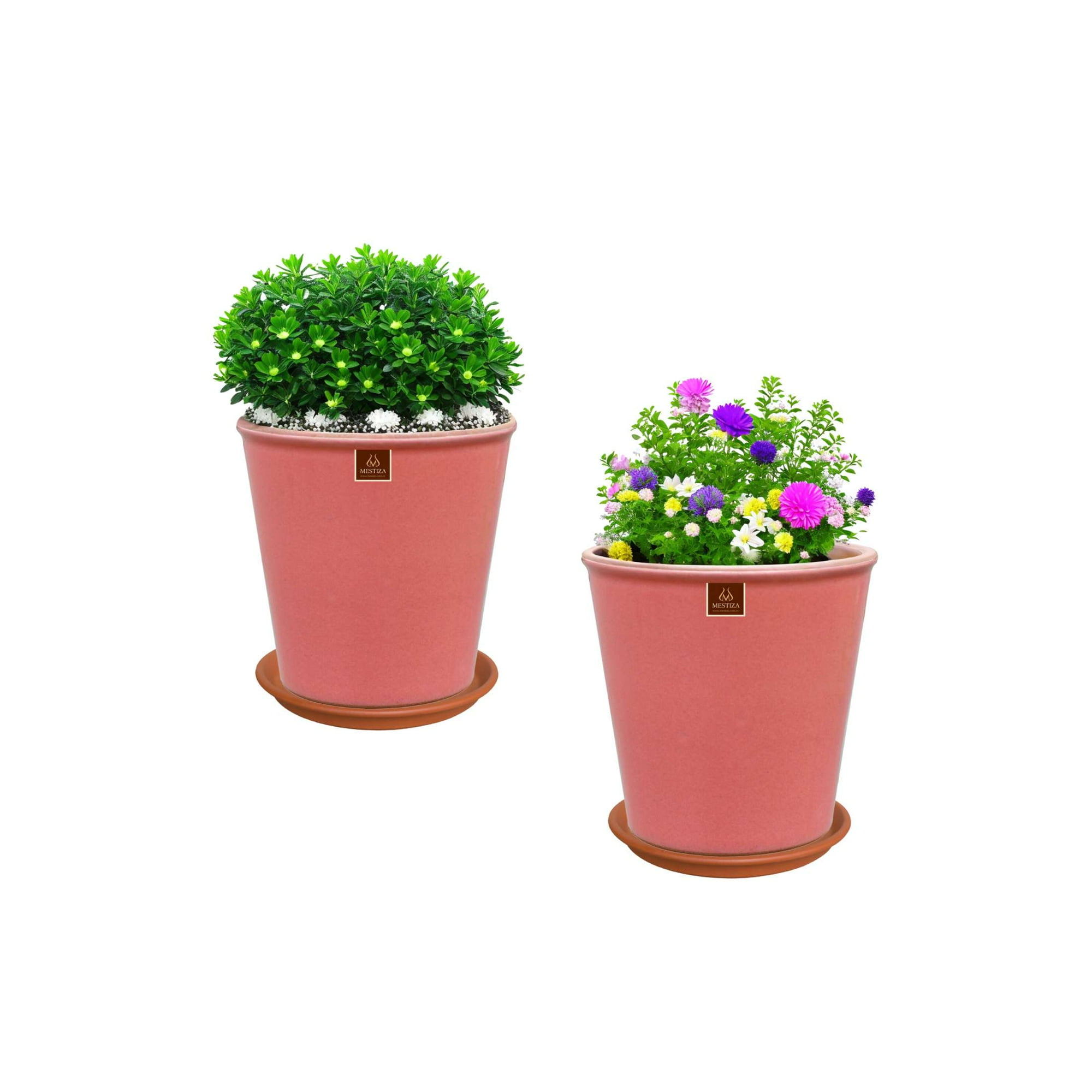 Pottery - Set De 2 Macetas Zaia 15 Cm Rosa Alegre Y Sus Platos