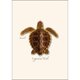 thumbnail image 2 of Juego de tarjetas de notas Earth Sky + Water, 8 tarjetas surtidas, 2 of 6